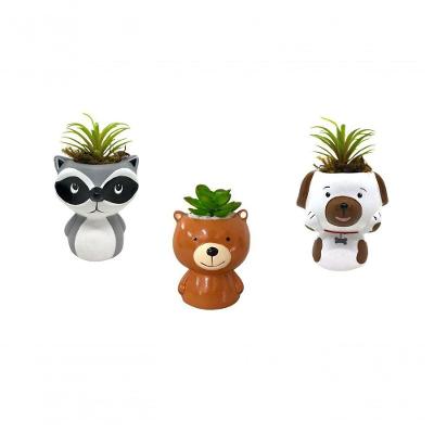 Vaso Jardim Cachepo Suculenta Urso Cerâmica 5 Cm Diâmetro
