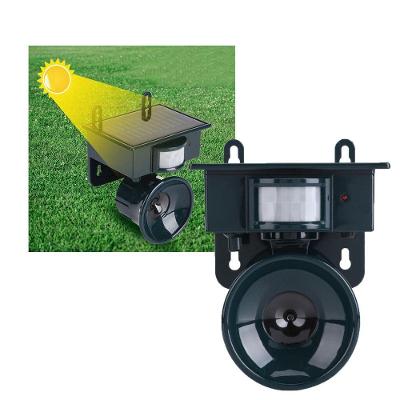 Repelente Solar Sensor Movimento Pragas Ratos Aves
