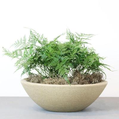 Vaso Malta Bowl 36 X 12 Cm Cor 11 - Granito Areia