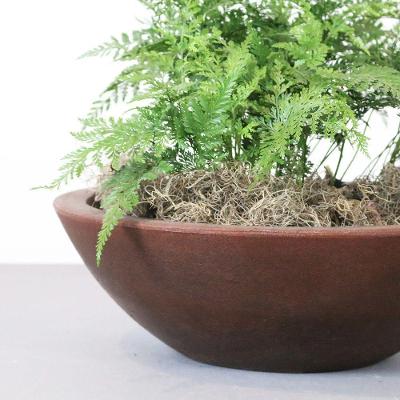 Vaso Malta Bowl 36 X 12 Cm Cor 09 - Antique Rusty