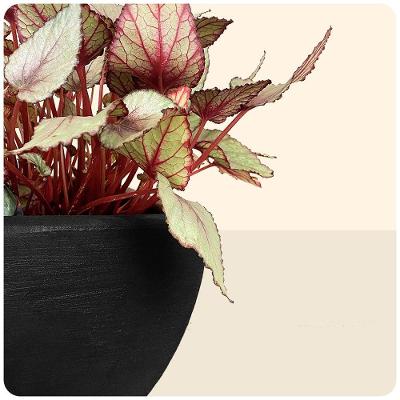 Floreira Malta 80 X 25 Cm Cor 07 - Preto Sólido