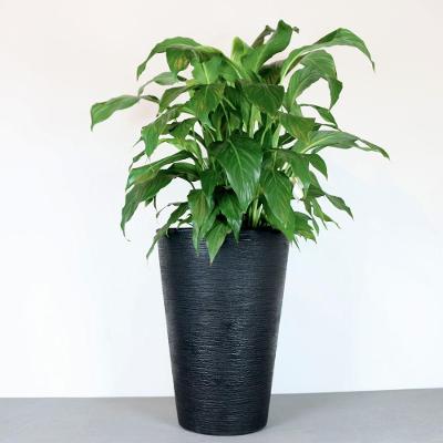 Vaso Terra Cone 38 X 55 Cm Cor 07 - Preto Sólido