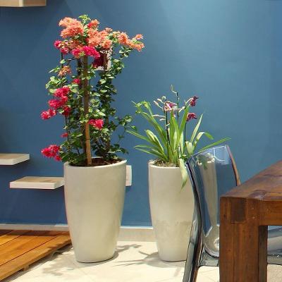 Vaso Verona Alto 30 X 53 Cm Cor 17 - Antique Branco