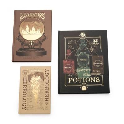 Kit De Cadernos Hp Materias De Hogwarts