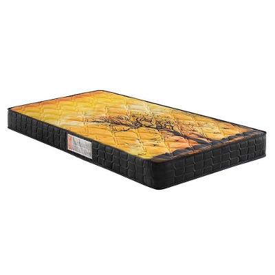 Colchão Solteiro Anatômico D28 / AG 65  Pantanal Black (78x188x17) - Anjos