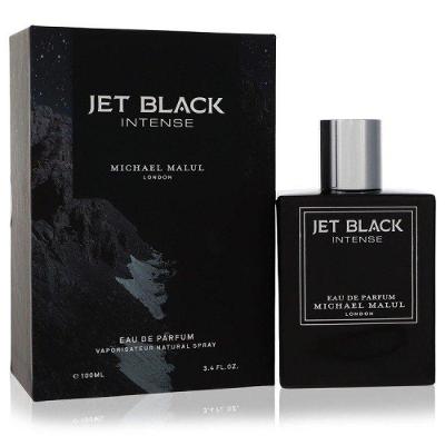 Perfume Masculino Michael Malul 100 Ml Eau de Parfum Spray