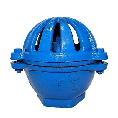 Valvula Pe Sucção De Ferro Fundido Tamanho 6"