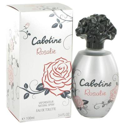 Perfume Feminino Parfums Gres 100 Ml Eau De Toilette Spray