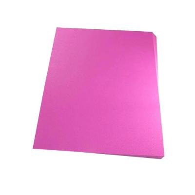 Capa Para Encadernação A4 Rosa Pp Couro 0,30Mm 100Un