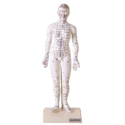 Acupuntura Modelo Feminino 50cm Emborrachado