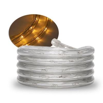 Corda Luminosa Led Taschibra 30 Leds 220v Alta Proteção Cores | Valor De 2 Metros