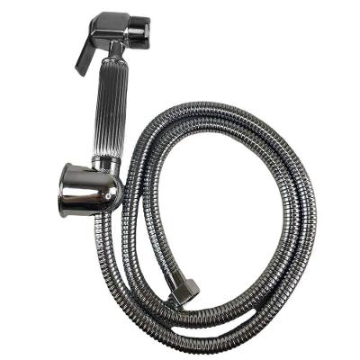 Ducha Higienica Chuveirinho Lavabo Intimo Metal Luxo Suporte
