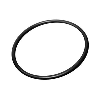 O'ring Para Carcaça Big Bbi