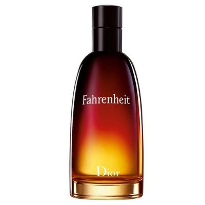 Perfume Fahrenheit Eau De Toilette Dior Masculino 100ml