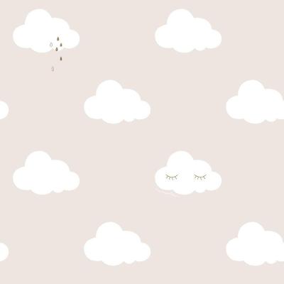 Papel De Parede Infantil De Nuvens Fofura Baby Ff4015.