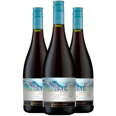 Vinho Tinto Ventisquero Queulat Gran Reserva Pinot Noir 750ml (3 Und)