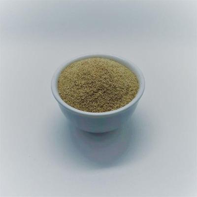 Psyllium - A Granel 1kg