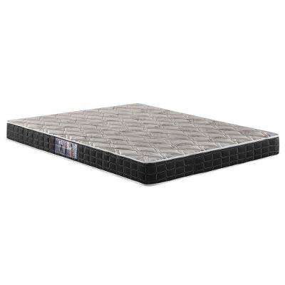 Colchão Casal Espuma D20  Querubim Black (138x188x12) - Anjos