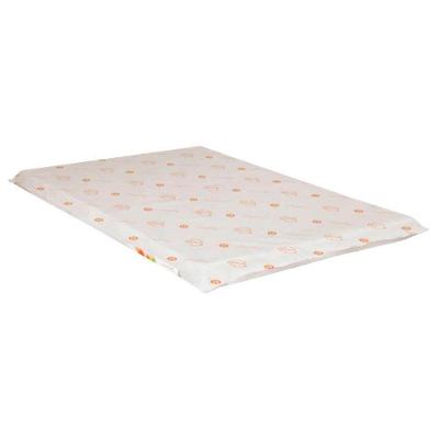 Colchão do Bebê D18 Chiqueirinho Baby Nana Infantil - 72x105x07 - Polar