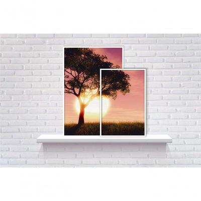 Conjunto Quadros Decorativos De Prateleira 2 Peças Titulos Moldura Branca