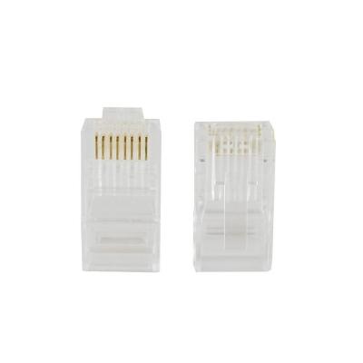 Conector Macho Rj-45 Evus Cat6 Utp 8x8 Pacote Com 100 C-099