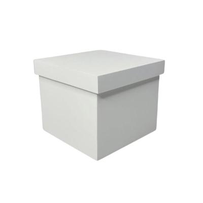 Caixa Tampa De Sapato P/1 Caneca Em Pé (12x12x11) Branco
