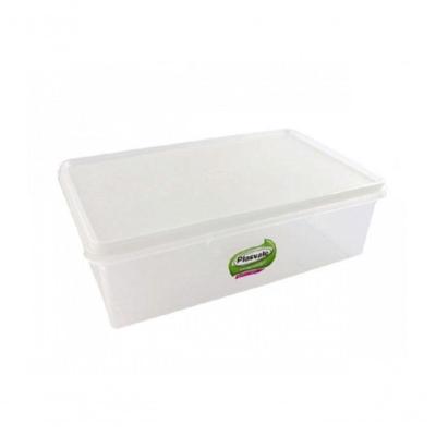 Caixa Retangular 11l Natural Plasvale 1238079