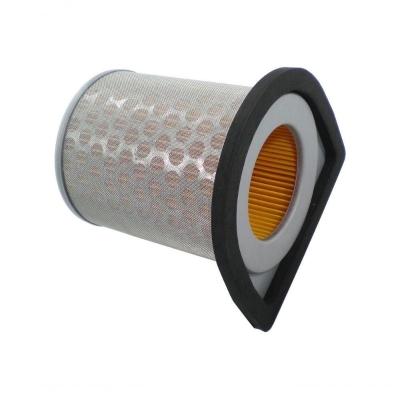 Elemento Filtro De Ar Eksim Cbx 250 [f016]