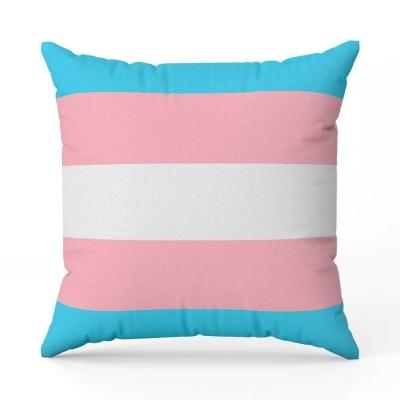 Capa De Almofada Avulsa Estampada Bandeiras Lgbt Cores 45cm X 45cm Cor Trans