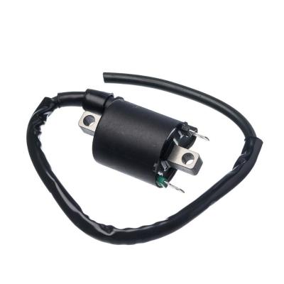 Bobina Ignicao Condor 12v Cg 150 2009- [f016]