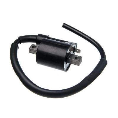 Bobina Ignicao Condor 12v Ybr 125 [f016]
