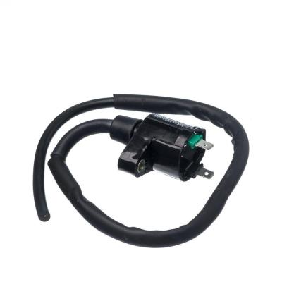 Bobina Ignicao Condor 12v Cg 125 00 A 02 [f016]