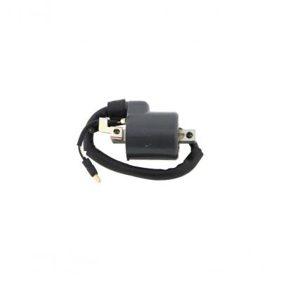Bobina Ignicao Condor 12v Cg 150 [f016]