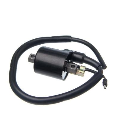 Bobina Ignicao Condor 12v Biz 125 05 A 08 [f016]