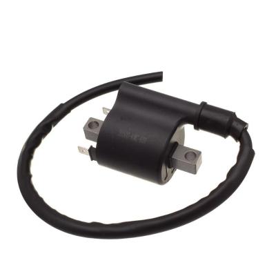 Bobina Ignicao Condor 12v Cg 125 2009- [f016]
