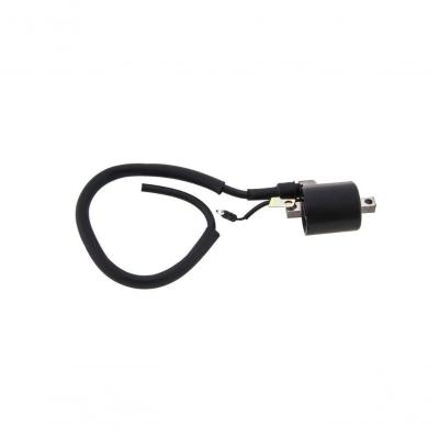 Bobina Ignicao Condor 12v Pop 100 [f016]