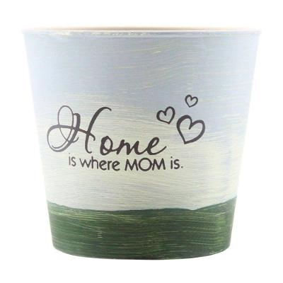 Kit 2 Mini Vasos De Planta Cachepot Estampados Decorados 12,5cm