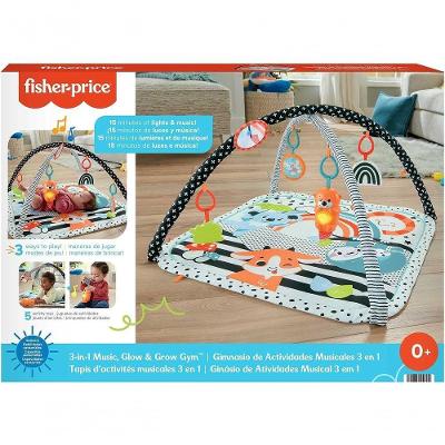 Fisher-price Ginásio De Atividades Musical 3 Em 1 - Mattel Hbp41
