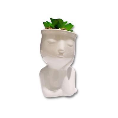 Vaso Rosto De Cerâmica Com Suculenta