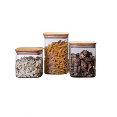 Conjunto De 3 Potes De Vidro Tatu-bola 1000ml-800ml-600ml - Ilovecoffee Natureza