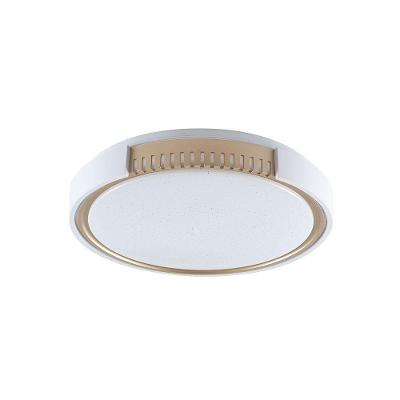 Plafon Led Blumenau Young Redondo De Sobrepor 24w Bivolt Branco - Dourado