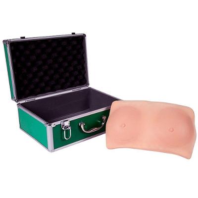 Exame De Mama Simulador Médico