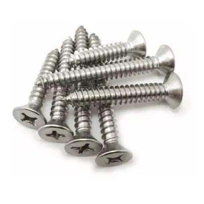 Parafuso Auto Atarraxante Inox Phillips 4,2x38mm