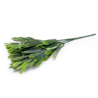 Folhagem Podocarpus Com Powder X5 Para Cerca Viva Verde 29 Cm F04 - D'rossi