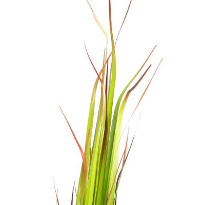 Grass Artificial Print Com Pote Real Toque Verde 2t 120 Cm F04 - D'rossi