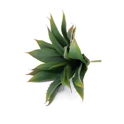Folha Artificial Agave Com Raiz X21 Para Arranjos Verde 25 Cm F04 - D'rossi