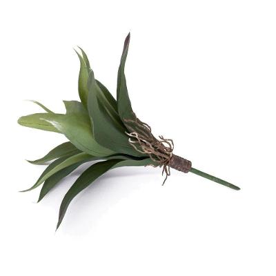 Folha Artificial Agave Com Raiz X13 Para Arranjos Verde 25 Cm F04 - D'rossi
