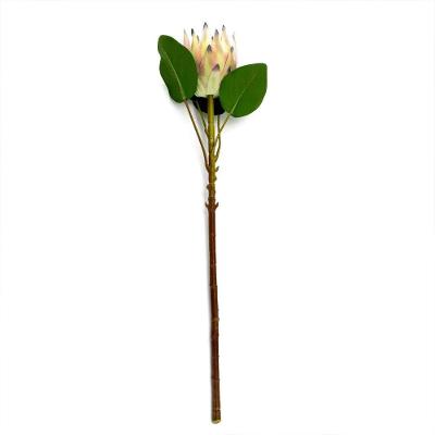 Haste De Flor Artificial Protea Frosted Com Coat Salmão 70 Cm F04 - D'rossi