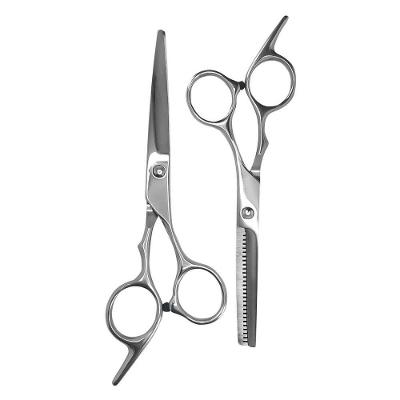 Kit Tesouras Profissional Prata Com Estojo Para Corte