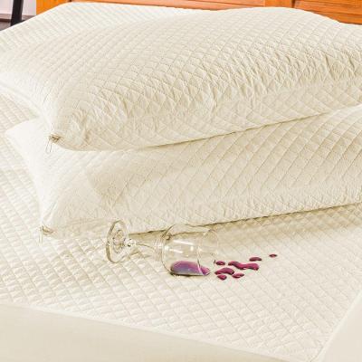 Kit Protetor De Travesseiro Impermeável Bia 02 Peças - Palha